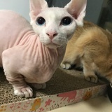 豆友183764685
