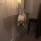 冬瓜太郎