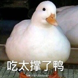 孙燕姿