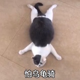 RFHYME