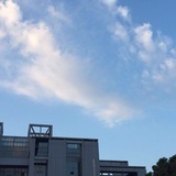 Out of Blue