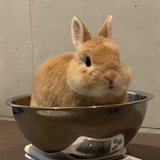 当午