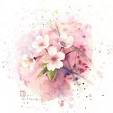 木樨