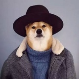 小蔡
