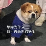 章鱼拐拐