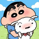 你算个貂猫