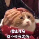 哈密瓜人