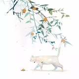 树下的几只猫