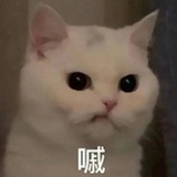 螺蛳粉没螺丝