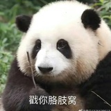 陈圆润