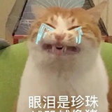 我是你爹吧