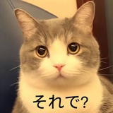 翡冷翠的小红球