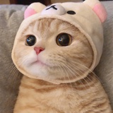 麦子