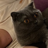 小土
