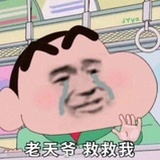 不许看(●◡●)ﾉ
