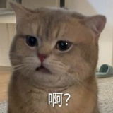 蜜柑
