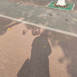 冰蓝湖泊的中央