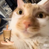 不详