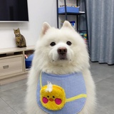 我又不中用了