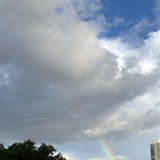 情深似海天酱油