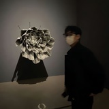 你的先生