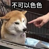 娃哈哈
