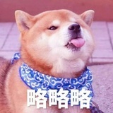 想留住的幸运❤