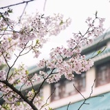 毓蓉