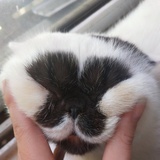 咿呀咿呀呦～