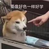 小瑜爱读书