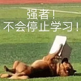 失眠嗜睡症