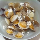 颜文字仓库 ノ