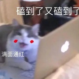 宇宇