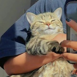 醒醒啦别睡啦