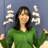 五行缺木多看绿