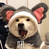草莓味