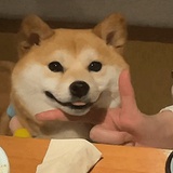 盒盒盒
