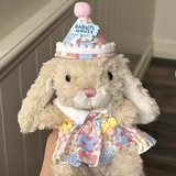 生日快乐猪
