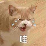 昵称获取失败…