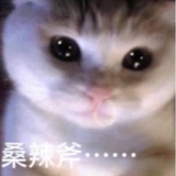小鱼