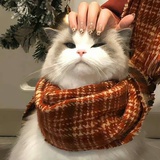 开心麦旋风