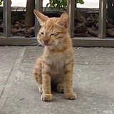 呵呵