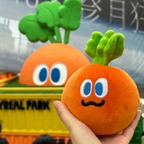 🍊