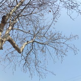 元气满满