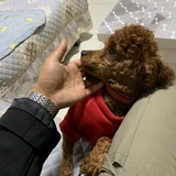 不错