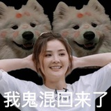 阿房房房