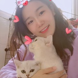 蓝小卡