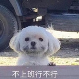 没想说出来AKA