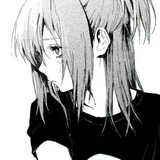 合猫