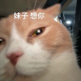 个子高还手指长